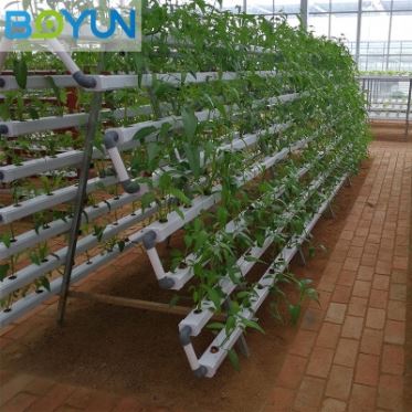 华人2注册官网平台栽培工程设计安装 多种种植模式相结合
