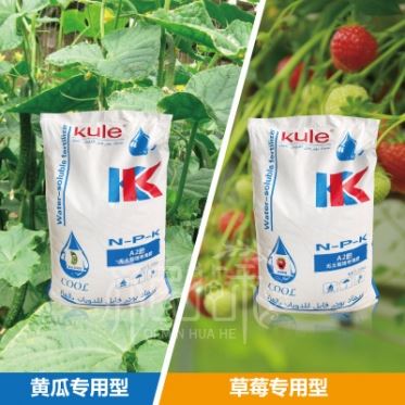 华人2平台体育真人西红柿专用水溶肥 根据作物生长期配肥