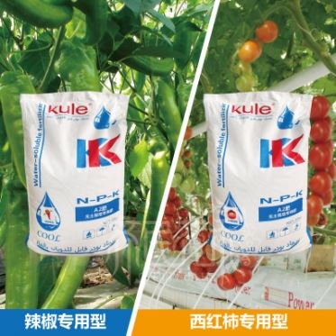 华人2注册草莓不同生长期研制草莓专用水溶肥