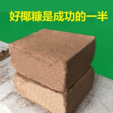 华人2平台老虎机 印度进口品质保证 5kg椰糠砖热销