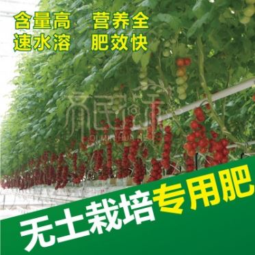 华人2平台老虎机专用辣椒黄瓜番茄草莓专用水溶肥