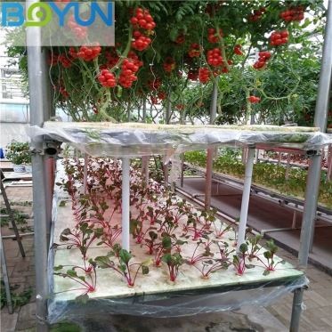 华人2注册液流（NFT）水培蔬菜模式及技术
