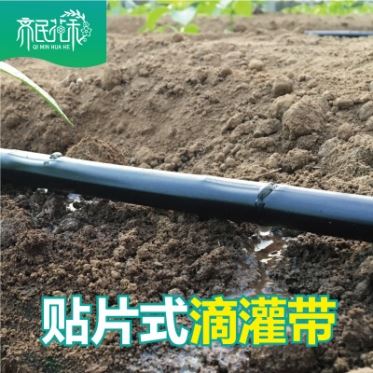 华人2平台网页版滴管系统主管滴灌带旁通阀套装